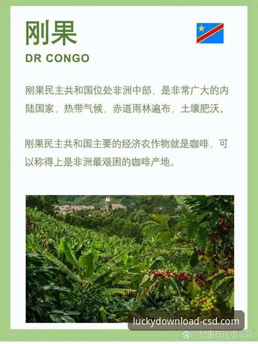 揭秘民主刚果52年圆梦之路：一场绝杀背后的数据与体验深度解析